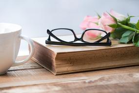 Coffee Mug, Flowers and old Book