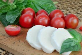 mozzarella with tomatoes and basil