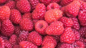 appetizing Raspberries Ripe