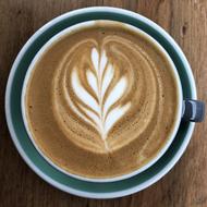 painted white leaf on foam cappuccino