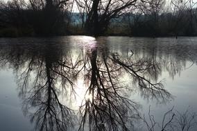 Beautiful pond with the reflection of the trees in light, in the forest, on landcape