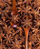 Spices Seeds