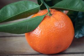 ripe mandarin on a wooden table