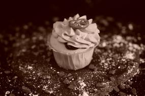 beautiful Cupcake Dessert