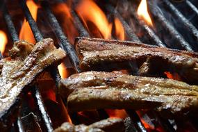 grilled meat close-up