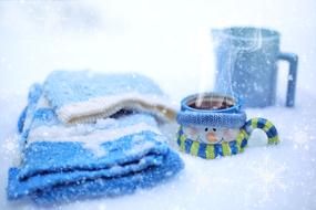 plaid, carafe and a cup of hot tea in the snow