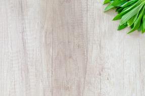 appetizing Wood Table Herb