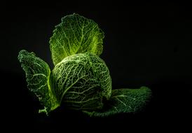 cabbage on a black background