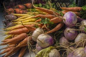 Vegetables Roots