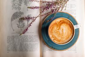 Cappuccino CafÃ©