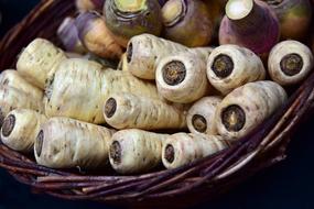 parsnips and parsley roots