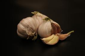 Garlic Still Life