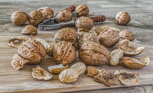 ripe walnuts and nutcracker