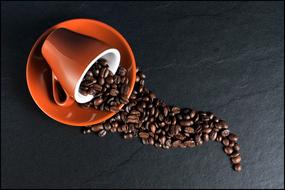 roasted Coffee Beans in Cup