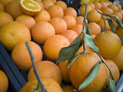 healthy orange in the market