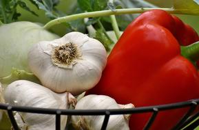 Vegetables Paprika and garlic