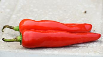 two red peppers on a stone