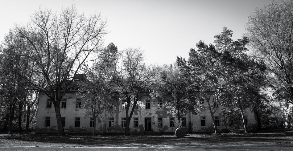 Ruins Horror Dark