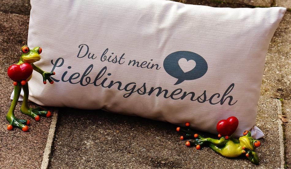 figurines of frogs in love and a pillow