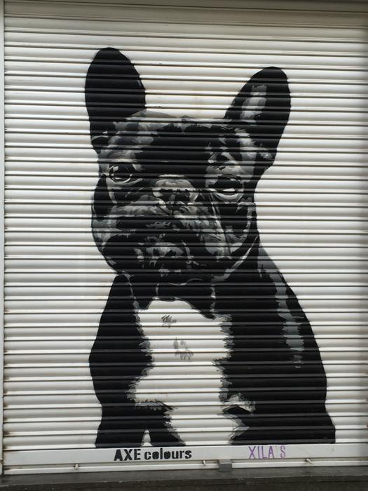 Street Art Dog