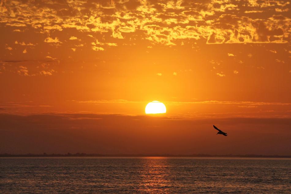 Sun Raise Nature
