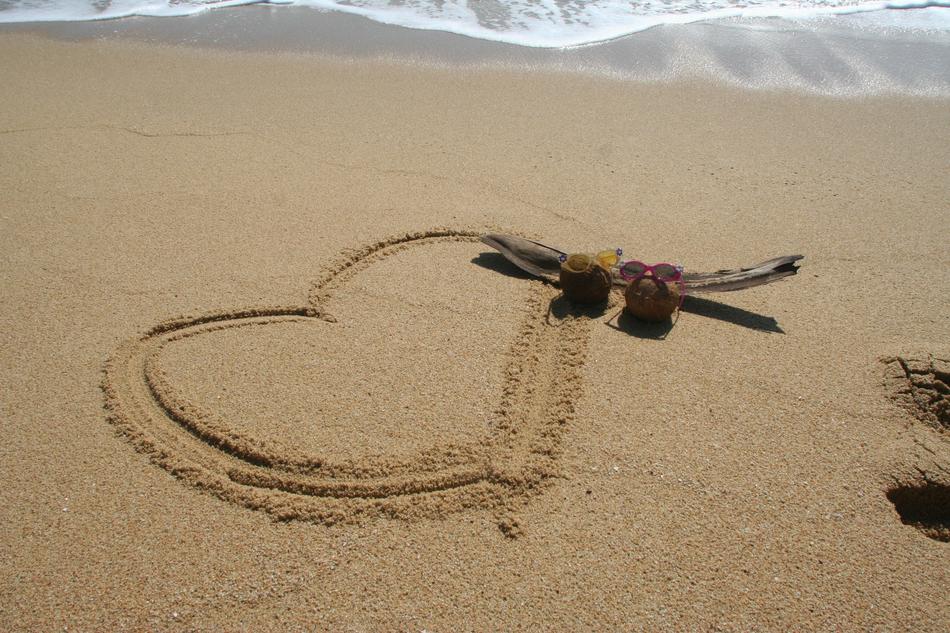 Heart Love Coconut