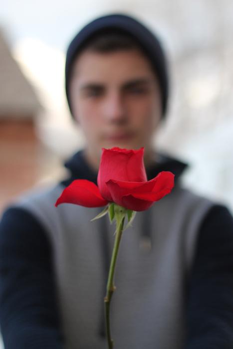 rose in hands of boy