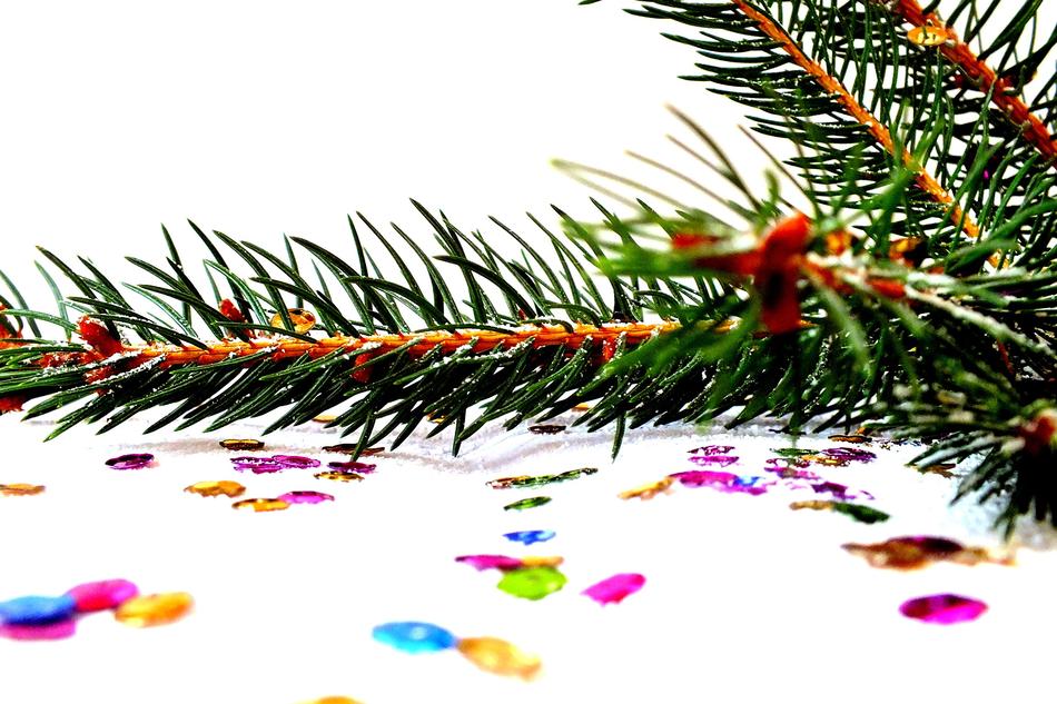 Spruce Photos Of Christmas