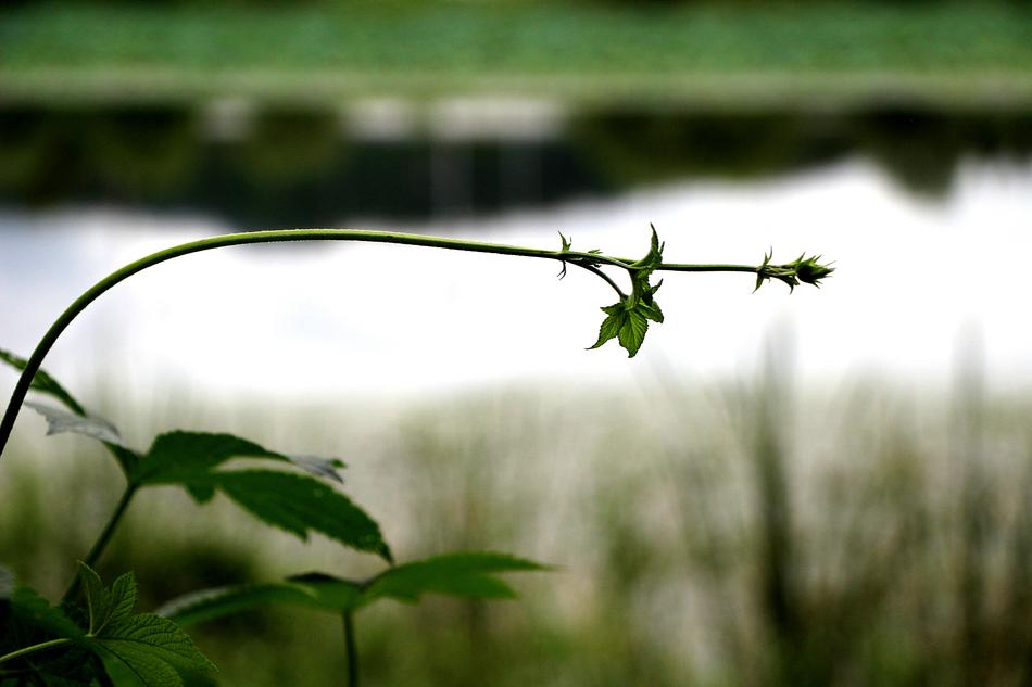 Break Nature Scenery