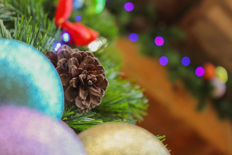 Christmas December Pine