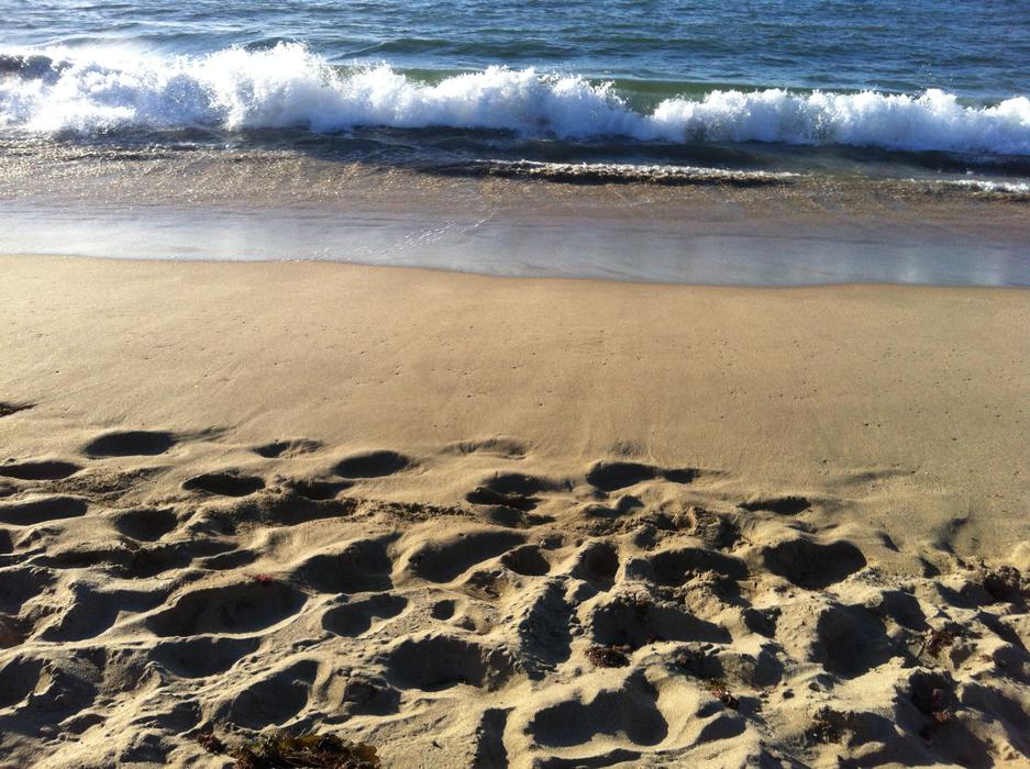 Beach Ocean Sand