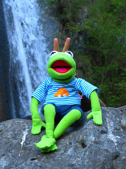 green Kermit Frog at waterfall