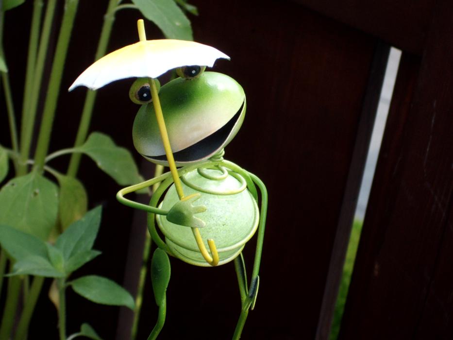 Frog Screen Laugh