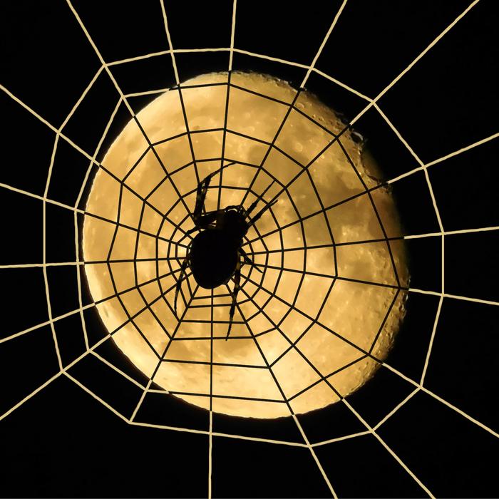 Spider Moon Halloween