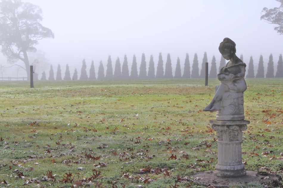 Statue Winter Frost