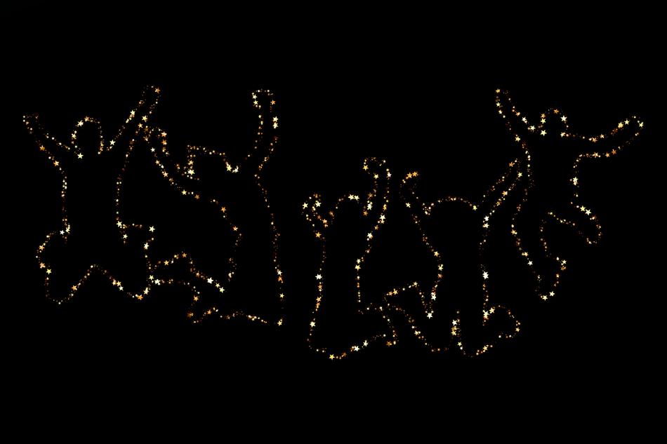 star constellation joy personal
