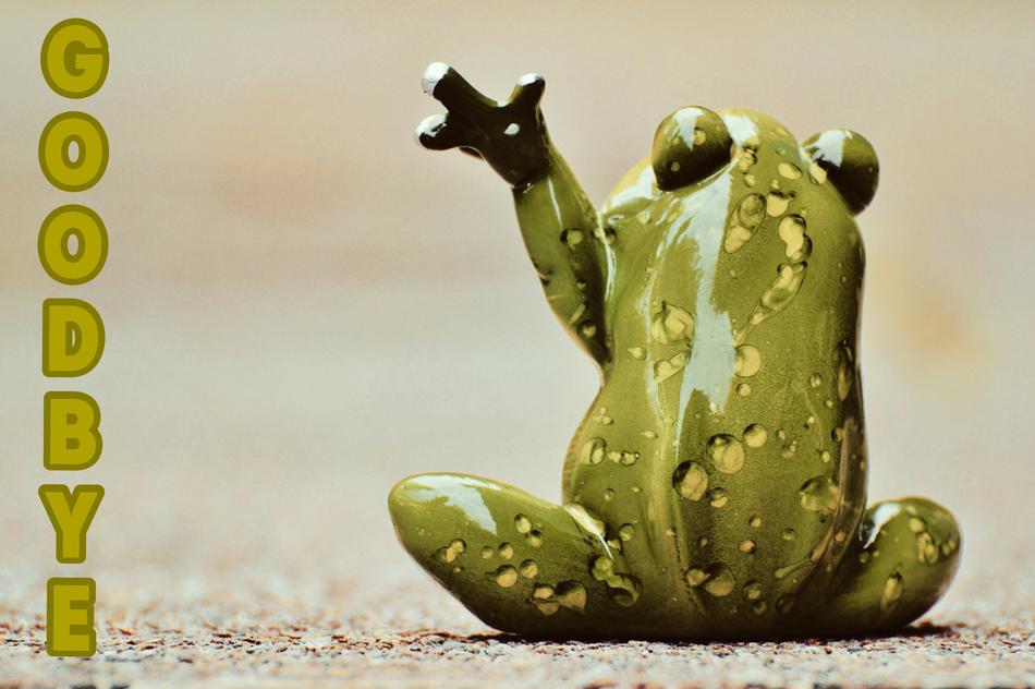 good bye farewell sad frog funny