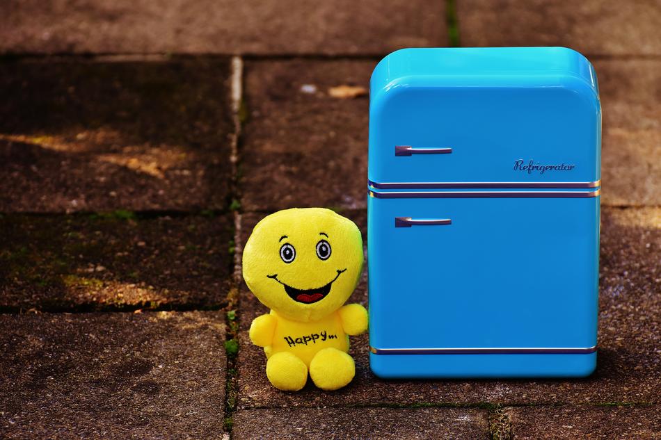 Happy Smiley and Full Fridge figure