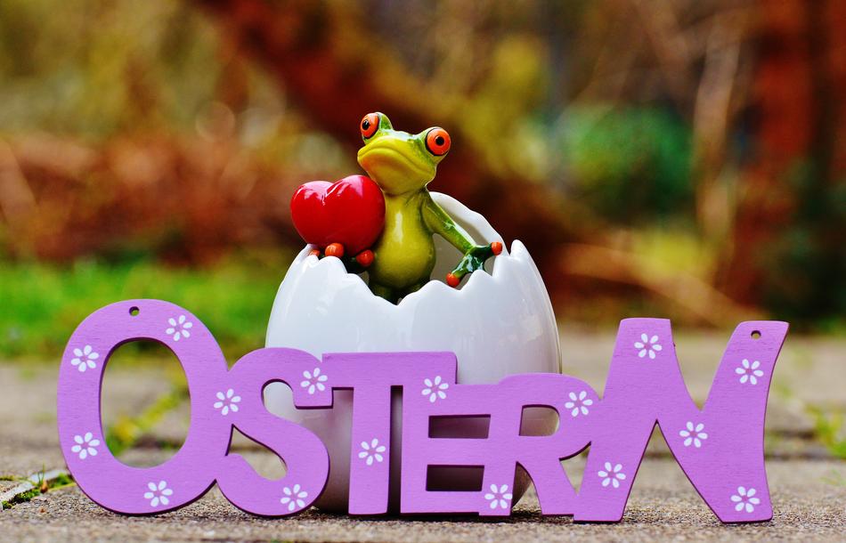 Easter Eggshell Frog Happy