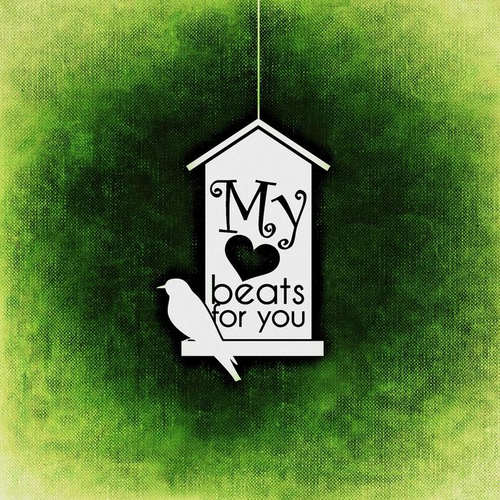 heart valentine love bird aviary