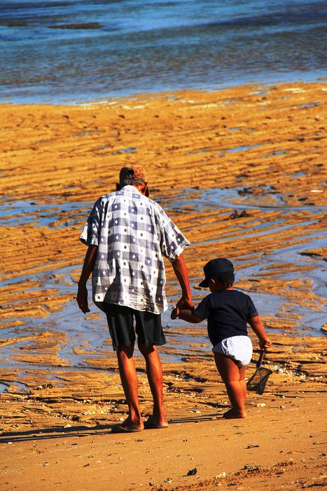 Grandfather and grandson walking on the beach