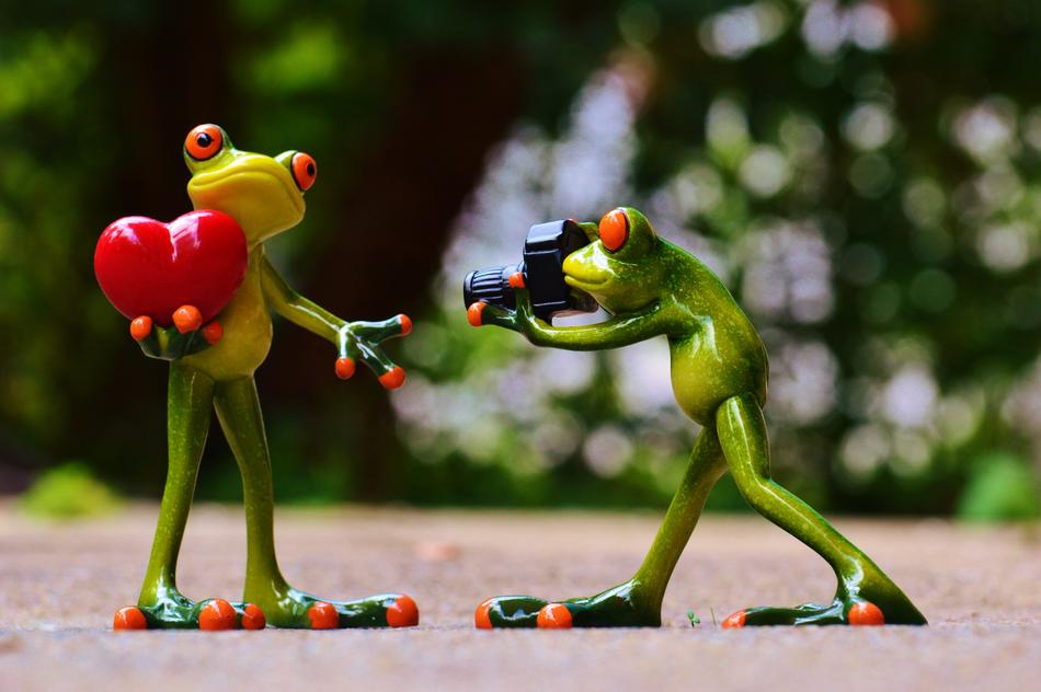 Frogs Love Valentine'S Day
