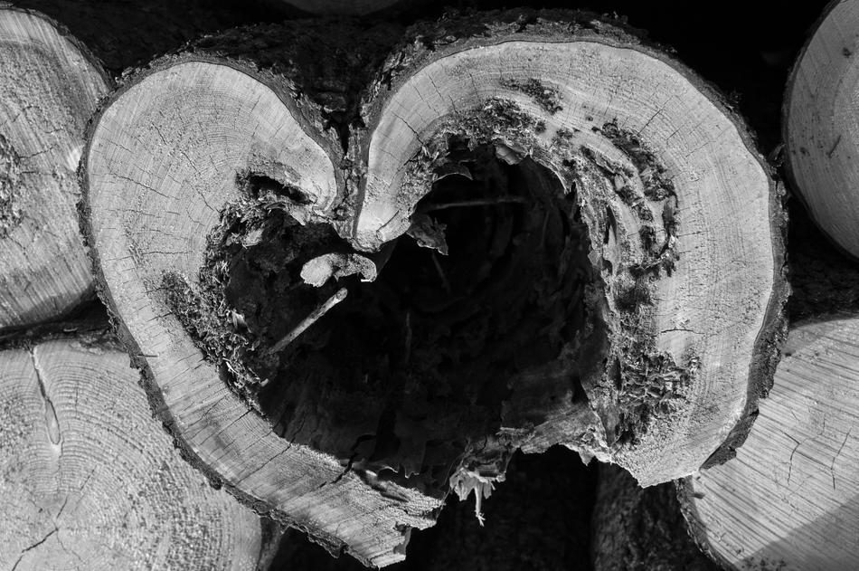 Wood Heart Old