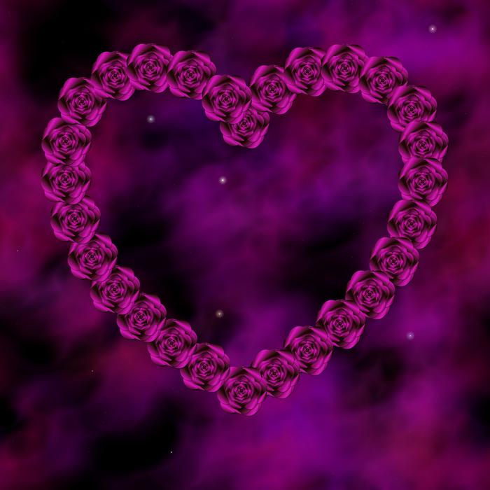 rose pink flower stars sparkles