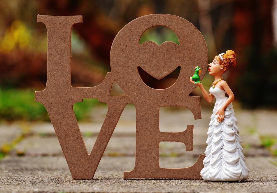Bride Kiss The Frog Love