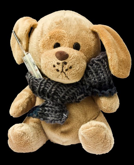 Teddy Dog Stuffed Animal