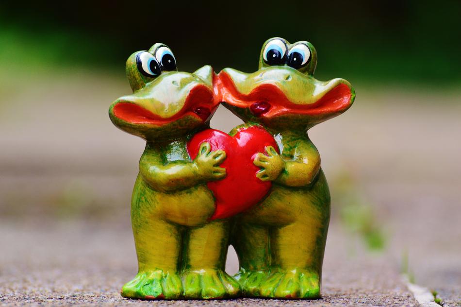 Frogs Pair Funny