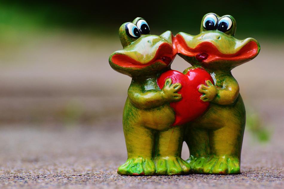 Frogs Pair Funny