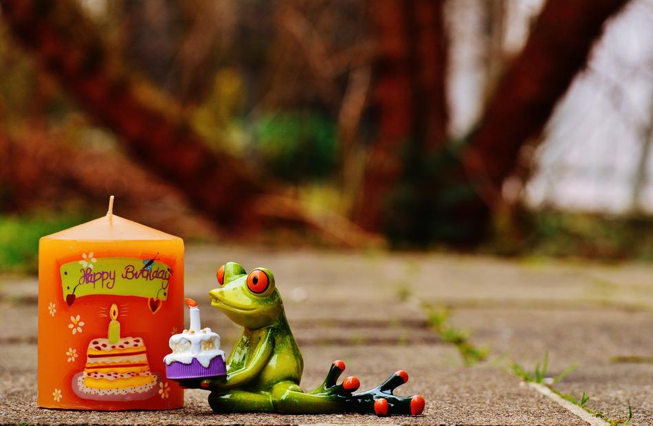 Happy Birthday Frog and candle decoration