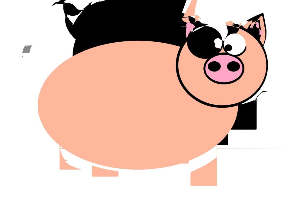 ring tailed pig pork swine animal